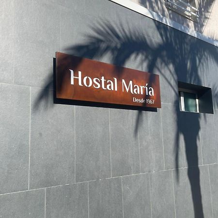 埃尔切 玛丽亚旅馆酒店 外观 照片 Hostel María